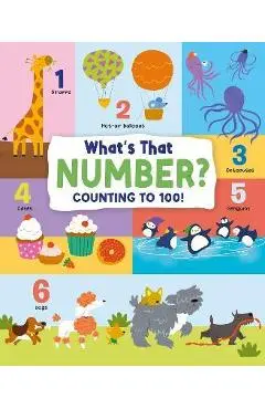 What's That Number?: Counting to 100 - John Allan