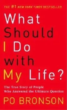 What Should I Do with My Life': The True Story of People Who Answered the Ultimate Question/Po Bronson