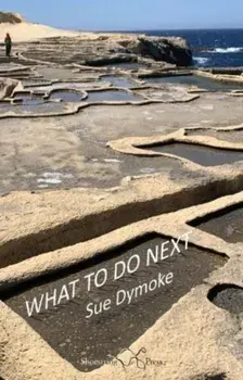 What To Do Next, Paperback/Sue Dymoke