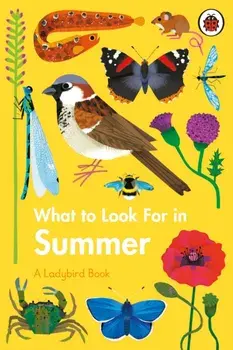 What to Look For in Summer, Hardback/Elizabeth Jenner