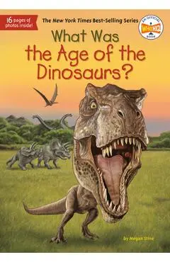What Was the Age of the Dinosaurs? - Megan Stine