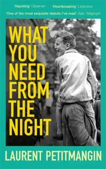 What You Need From The Night, Paperback/Laurent Petitmangin