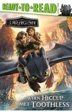 When Hiccup Met Toothless: Ready-To-Read Level 2 - Patty Michaels