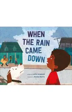 When the Rain Came Down - Leslie Helakoski