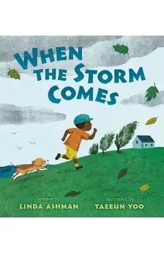 When the Storm Comes - Linda Ashman