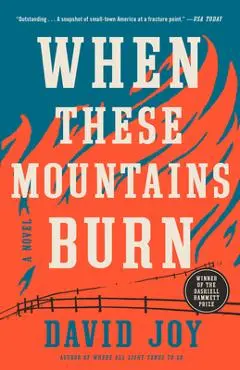 When These Mountains Burn - David Joy