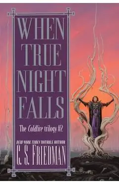 When True Night Falls - C. S. Friedman