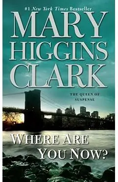 Where Are You Now? - Mary Higgins Clark
