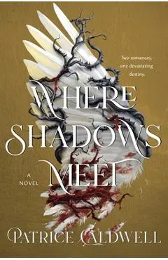 Where Shadows Meet - Patrice Caldwell