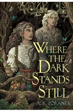 Where the Dark Stands Still - A. B. Poranek