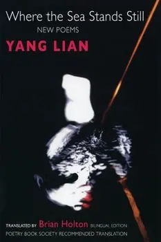 Where the Sea Stands Still, Paperback/Yang Lian
