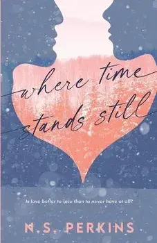 Where Time Stands Still, Paperback/N. S. Perkins