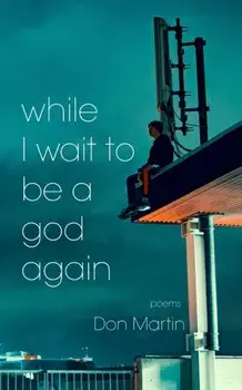 while I wait to be a god again, Paperback/Don Martin