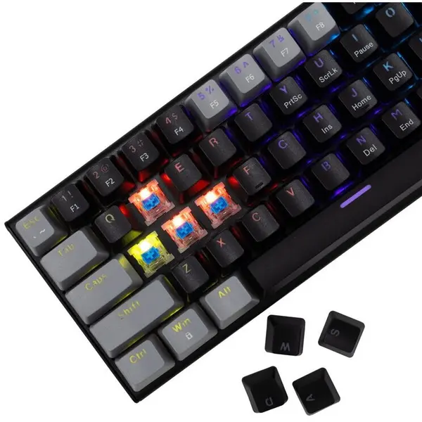 White Shark Tastatura Gaming White Shark WAKIZASHI 2 US Blue Switch Mecanica Negru/Gri