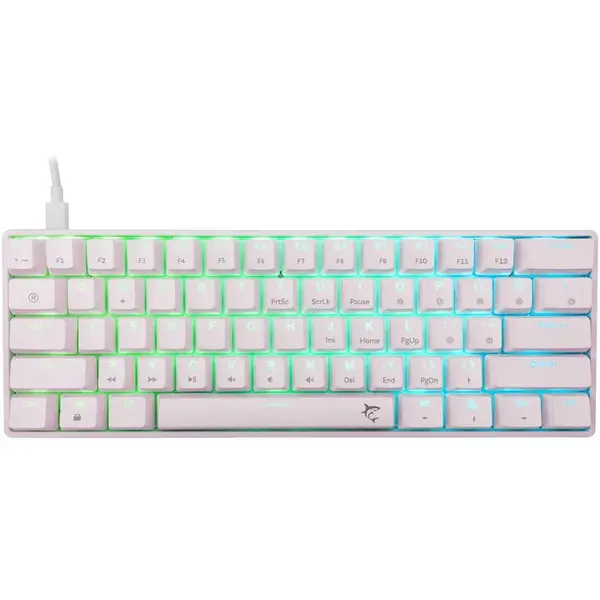 White Shark Tastatura Mecanica Gaming cu fir White Shark SHINOBI v2, BLUE OUTEMU Switch, 1.8 m, Alb