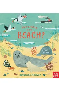 Who's Hiding at the Beach? - Nosy Crow