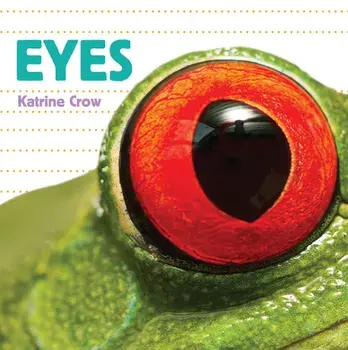Whose Is It? Eyes, Board Books/Katrine Crow