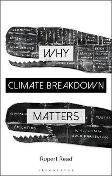 Why Climate Breakdown Matters, Paperback/Dr Rupert Read