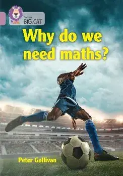 Why do we need maths?. Band 18/Pearl, Paperback/The Royal Institution