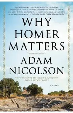 Why Homer Matters: A History - Adam Nicolson