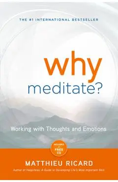 Why Meditate? - Matthieu Ricard