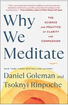 Why We Meditate: The Science and Practice of Clarity and Compassion - Daniel Goleman