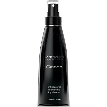 Wicked Anti-bacterial Toy Cleaner produs de curățare pentru jucării sexuale