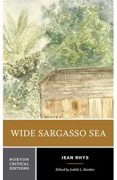 Wide Sargasso Sea: Backgrounds, Criticism - Jean Rhys