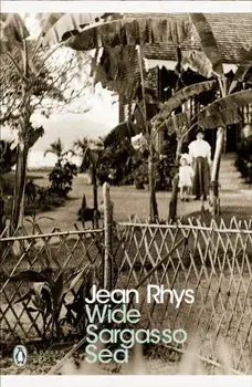 Wide Sargasso Sea, Paperback/Jean Rhys