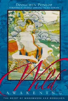 Wild Awakening: The Heart of Mahamudra & Dzogchen, Paperback/Dzogchen Ponlop