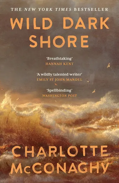 Wild Dark Shore