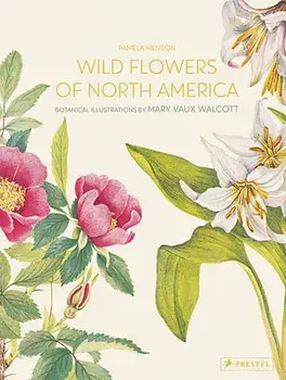 Wild Flowers of North America. Botanical Illustrations by Mary Vaux Walcott, Hardback/***