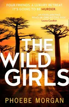 Wild Girls, Paperback/Phoebe Morgan
