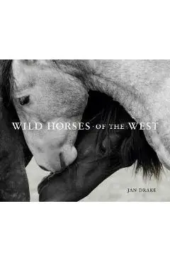 Wild Horses of the West - Jan Drake