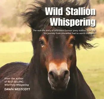 Wild Stallion Whispering, Hardback/Dawn Westcott
