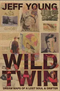 Wild Twin, Hardback/Jeff Young