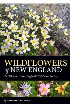 Wildflowers of New England - Ted Elliman