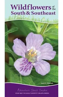 Wildflowers of the South & Southeast: Your Way to Easily Identify Wildflowers - Jaret C. Daniels