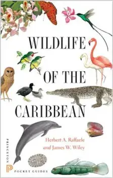 Wildlife of the Caribbean, Paperback/Herbert A. Raffaele