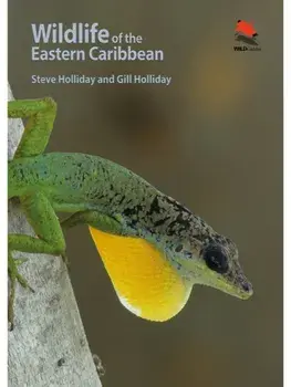 Wildlife of the Eastern Caribbean, Paperback/Gill Holliday