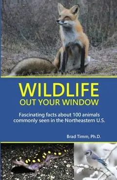 Wildlife Out Your Window: Fascinating Facts About 100 Animals Commonly Seen in the Northeastern U.S. - Brad Timm