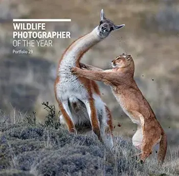 Wildlife Photographer of the Year: Portfolio 29, Hardcover/Rosamund Kidman Cox