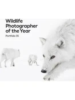 Wildlife Photographer of the Year: Portfolio 35, Hardback/***