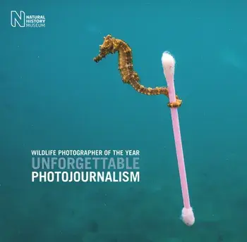 Wildlife Photographer of the Year: Unforgettable Photojournalism, Hardcover/Rosamund Kidman Cox