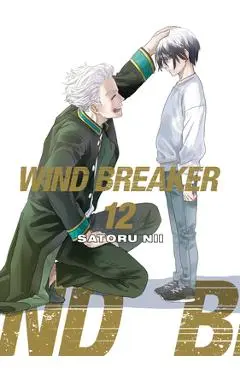 Wind Breaker 12 - Satoru Nii