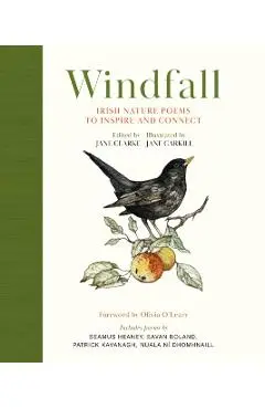 Windfall: Irish Nature Poems to Inspire and Connect - Jane Clarke