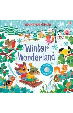 Winter Wonderland Sound Book - Sam Taplin