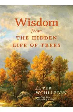 Wisdom from the Hidden Life of Trees - Peter Wohlleben