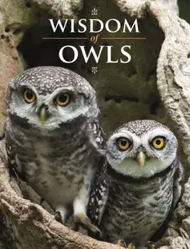 Wisdom of Owls, Hardback/***