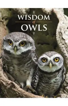 Wisdom of Owls - Lisa Purcell